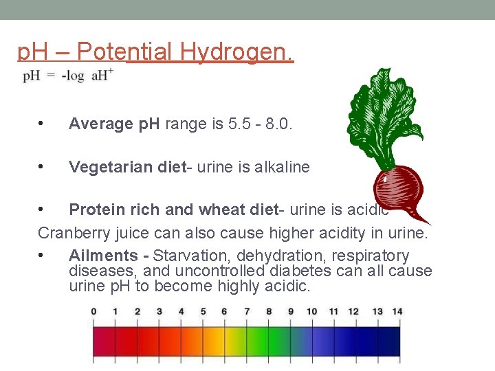 p. H – Potential Hydrogen. • Average p. H range is 5. 5 -