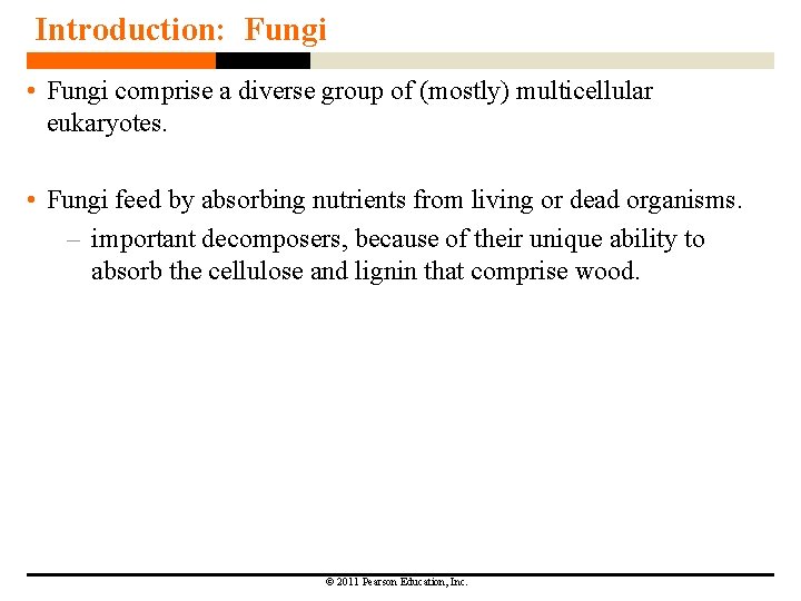 Introduction: Fungi • Fungi comprise a diverse group of (mostly) multicellular eukaryotes. • Fungi