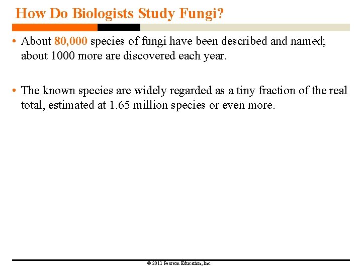 How Do Biologists Study Fungi? • About 80, 000 species of fungi have been