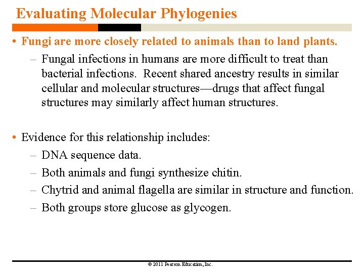 Evaluating Molecular Phylogenies • Fungi are more closely related to animals than to land