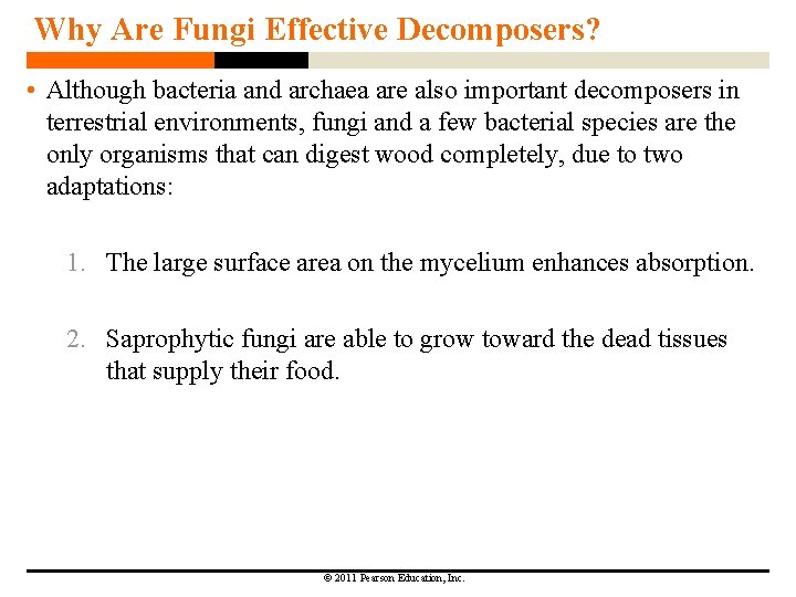 Why Are Fungi Effective Decomposers? • Although bacteria and archaea are also important decomposers