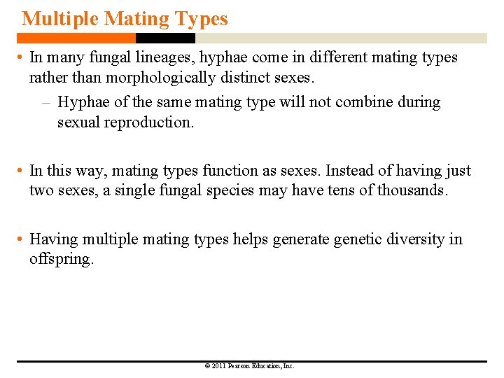 Multiple Mating Types • In many fungal lineages, hyphae come in different mating types