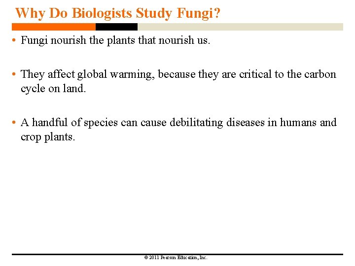 Why Do Biologists Study Fungi? • Fungi nourish the plants that nourish us. •