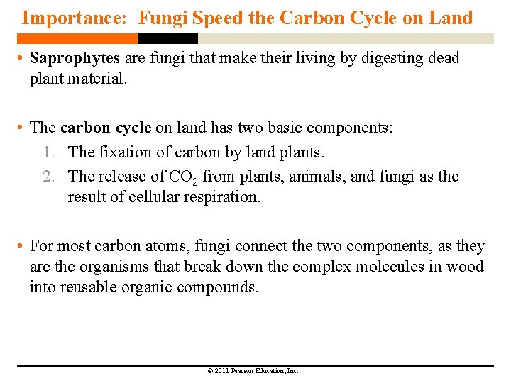 Importance: Fungi Speed the Carbon Cycle on Land • Saprophytes are fungi that make