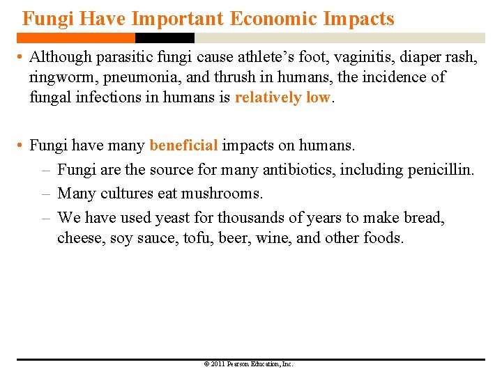 Fungi Have Important Economic Impacts • Although parasitic fungi cause athlete’s foot, vaginitis, diaper