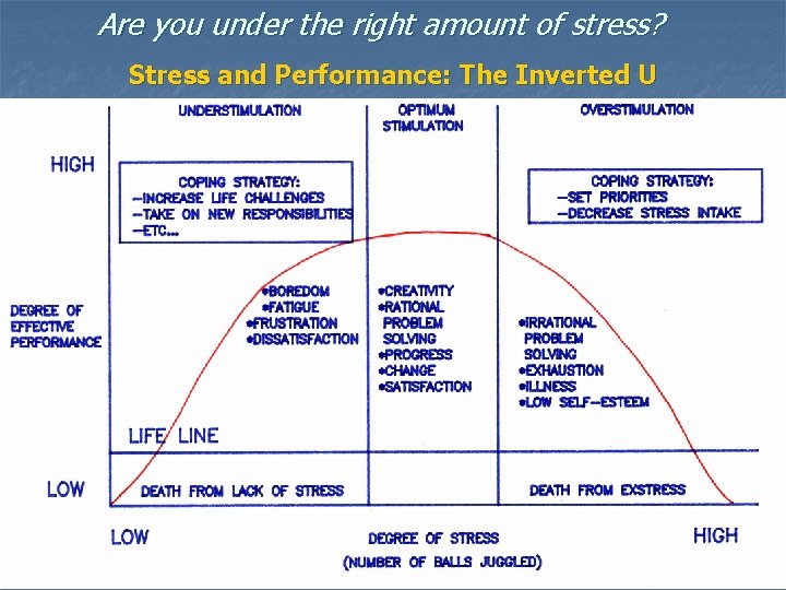 Are you under the right amount of stress? Stress and Performance: The Inverted U