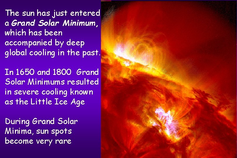 The sun has just entered a Grand Solar Minimum, which has been accompanied by