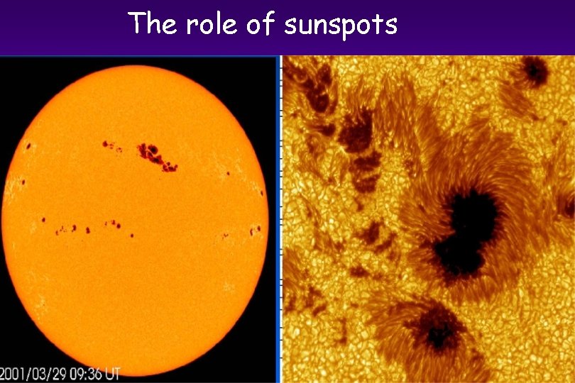 The role of sunspots 