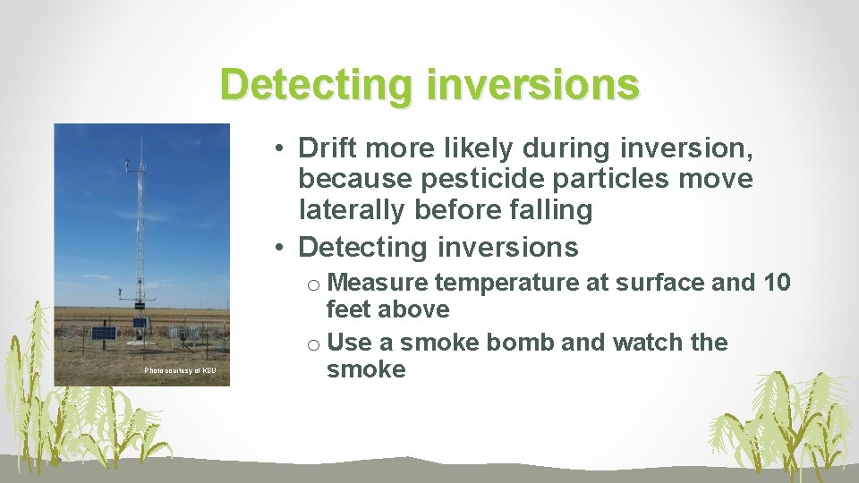 Pesticide Inversion Pesticide Review and Major Issues 2018 Carla Ralston