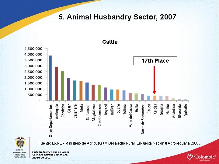 5. Animal Husbandry Sector, 2007 Cattle 17 th Place Fuente: DANE - Ministerio de