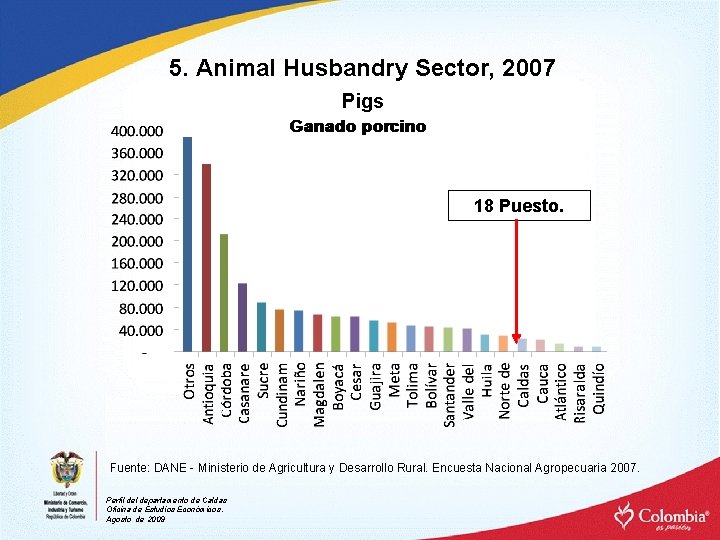 5. Animal Husbandry Sector, 2007 Pigs 18 Puesto. Fuente: DANE - Ministerio de Agricultura