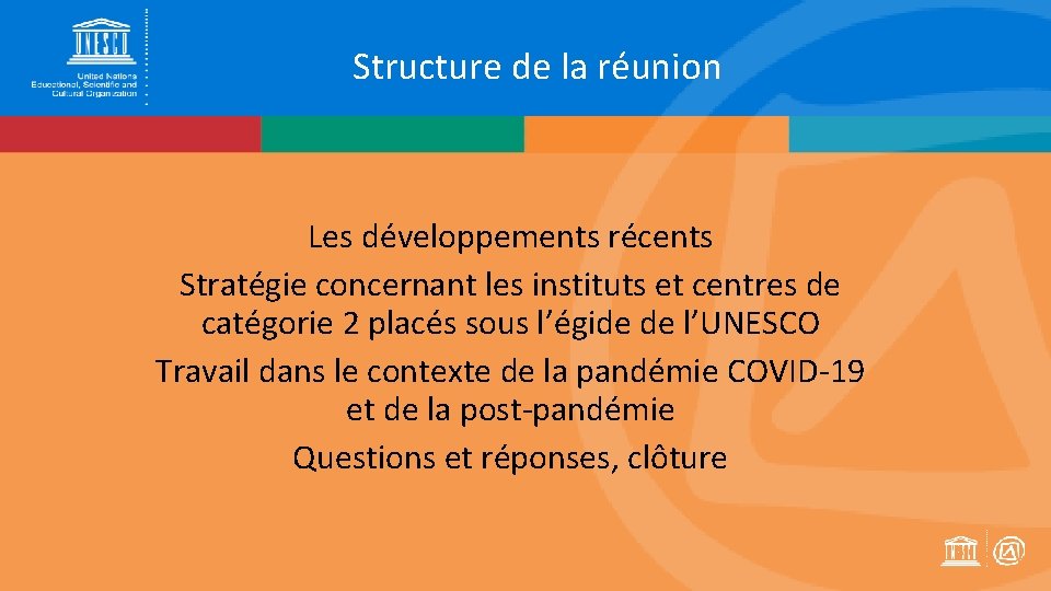 Structure de la réunion Les développements récents Stratégie concernant les instituts et centres de