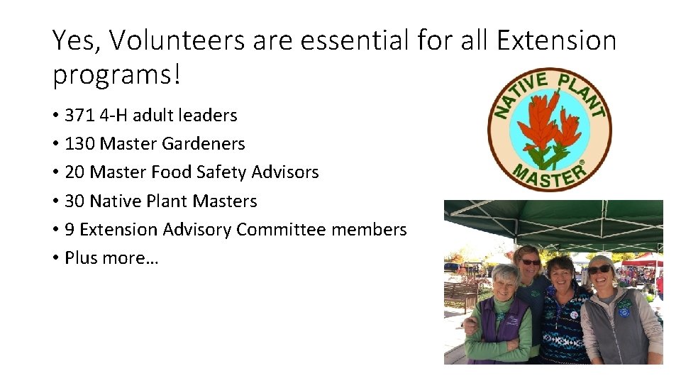 Yes, Volunteers are essential for all Extension programs! • 371 4 -H adult leaders