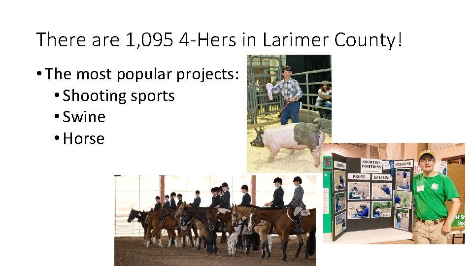 There are 1, 095 4 -Hers in Larimer County! • The most popular projects: