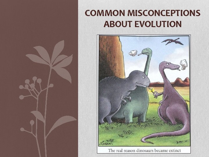 COMMON MISCONCEPTIONS ABOUT EVOLUTION 