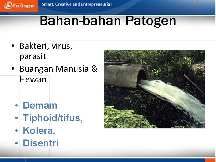 Bahan-bahan Patogen • Bakteri, virus, parasit • Buangan Manusia & Hewan • • Demam