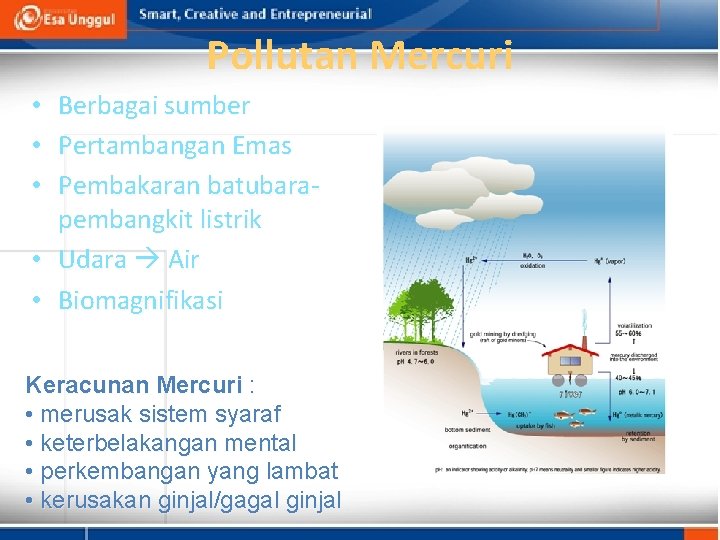 Pollutan Mercuri • Berbagai sumber • Pertambangan Emas • Pembakaran batubarapembangkit listrik • Udara