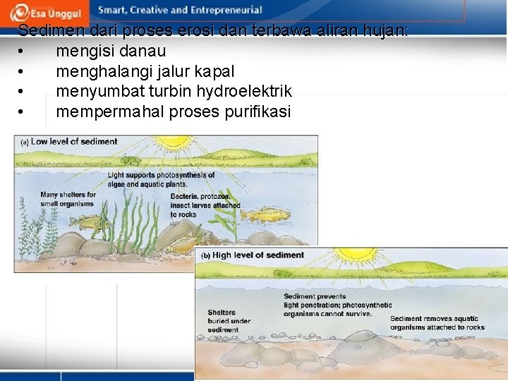 Sedimen dari proses erosi dan terbawa aliran hujan: • mengisi danau • menghalangi jalur