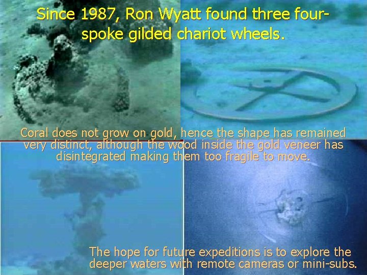 Since 1987, Ron Wyatt found three fourspoke gilded chariot wheels. Coral does not grow Since 1987, Ron Wyatt found three fourspoke gilded chariot wheels. Coral does not grow