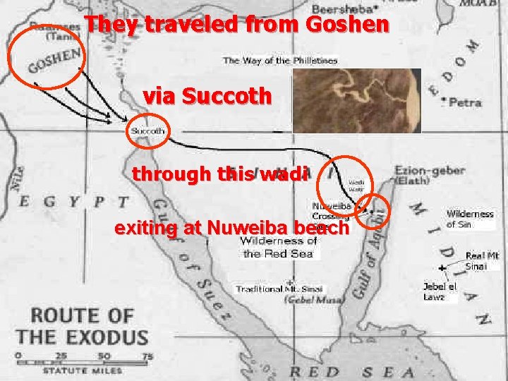 They traveled from Goshen via Succoth through this wadi exiting at Nuweiba beach They traveled from Goshen via Succoth through this wadi exiting at Nuweiba beach