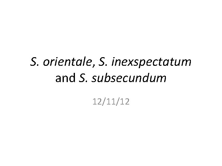 S. orientale, S. inexspectatum and S. subsecundum 12/11/12 