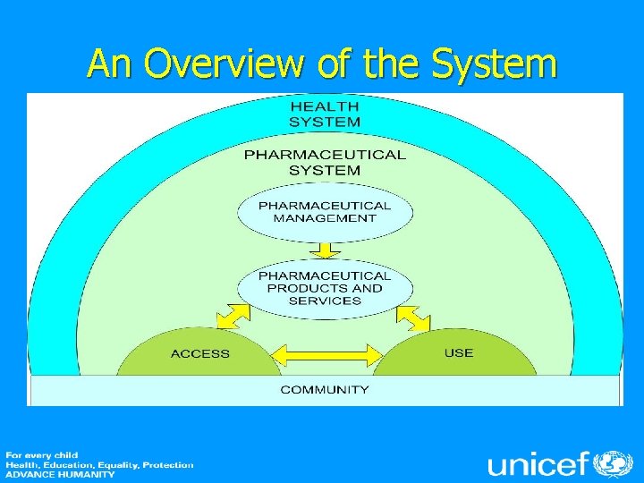 An Overview of the System 