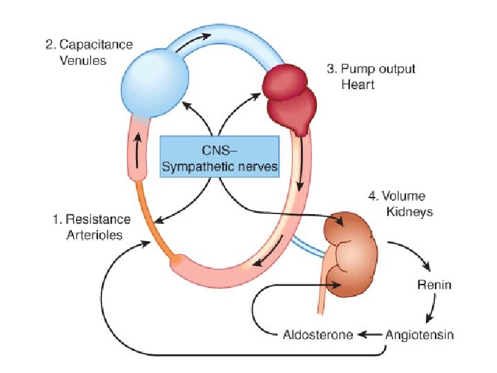 En cuanto al tratamiento de la hipertensión arterial, ¿qué traduce que un sujeto sea