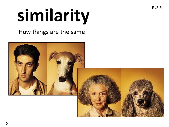 similarity How things are the same 5 RI. 5. 6 