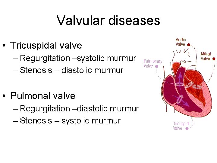 Valvular diseases • Tricuspidal valve – Regurgitation –systolic murmur – Stenosis – diastolic murmur Valvular diseases • Tricuspidal valve – Regurgitation –systolic murmur – Stenosis – diastolic murmur