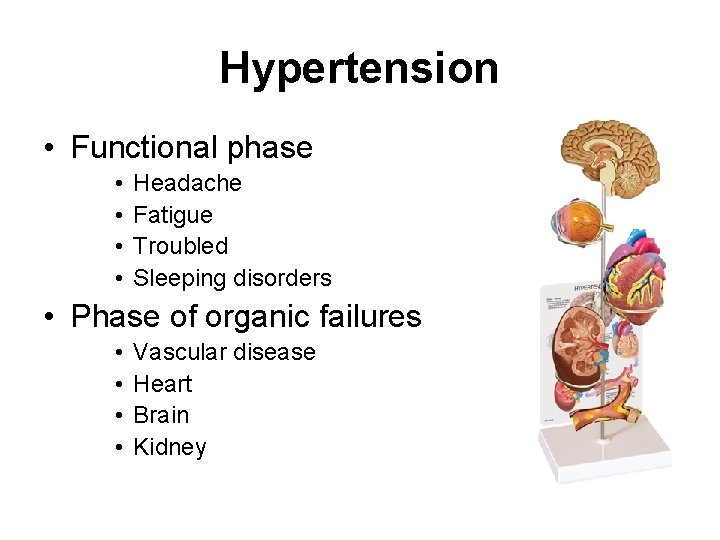 Hypertension • Functional phase • • Headache Fatigue Troubled Sleeping disorders • Phase of Hypertension • Functional phase • • Headache Fatigue Troubled Sleeping disorders • Phase of