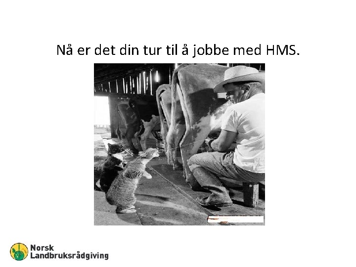 Nå er det din tur til å jobbe med HMS. 