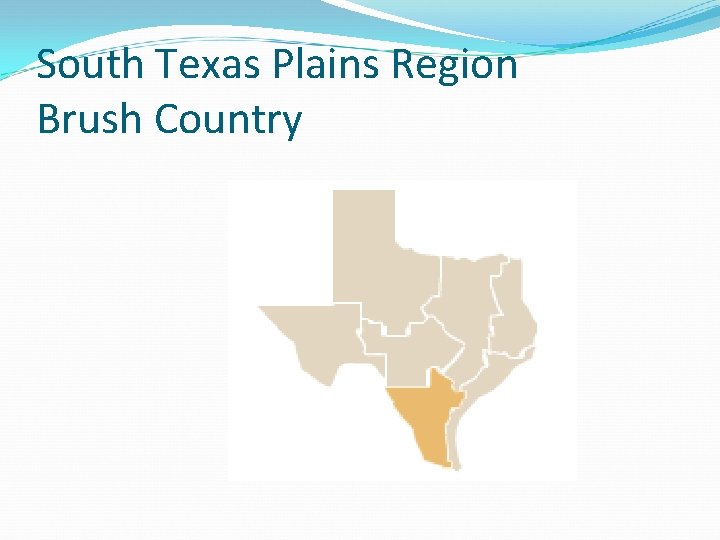 South Texas Plains Region Brush Country 