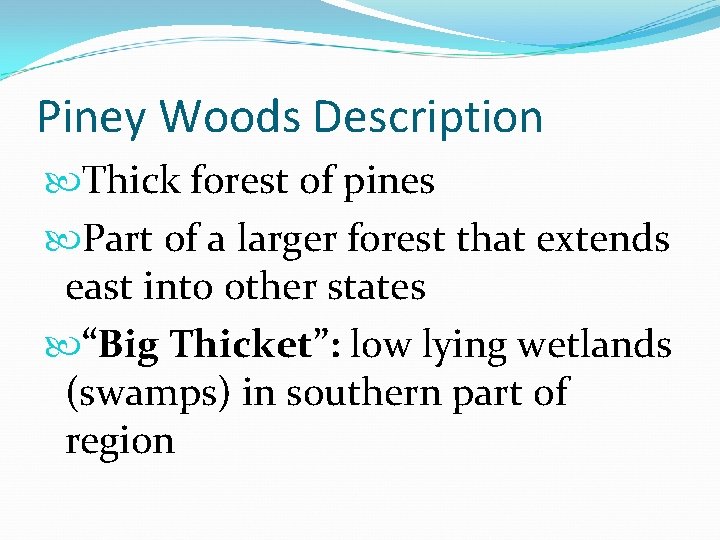 Piney Woods Description Thick forest of pines Part of a larger forest that extends