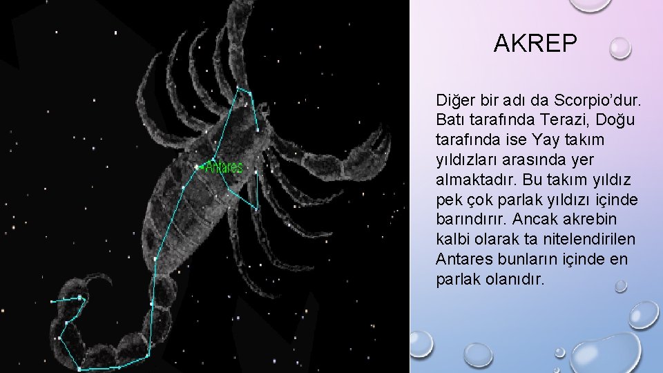 AKREP Diğer bir adı da Scorpio’dur. Batı tarafında Terazi, Doğu tarafında ise Yay takım