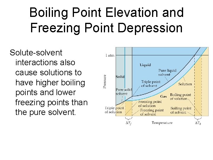 Boiling Point Elevation and Freezing Point Depression Solute-solvent interactions also cause solutions to have