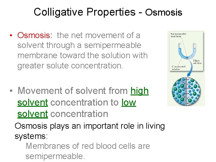 Colligative Properties - Osmosis • Osmosis: the net movement of a solvent through a