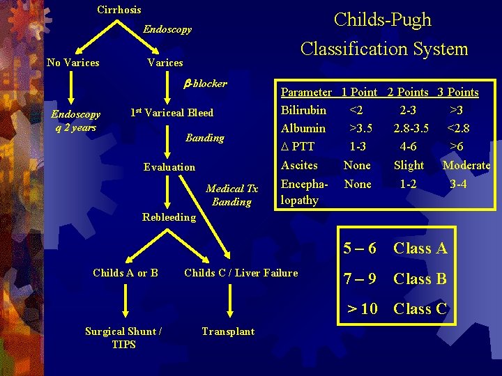 Cirrhosis Childs-Pugh Endoscopy No Varices Classification System Varices b-blocker Endoscopy q 2 years 1