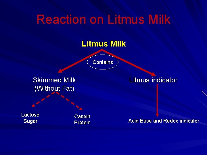 Reaction on Litmus Milk Contains Skimmed Milk (Without Fat) Lactose Sugar Casein Protein Litmus
