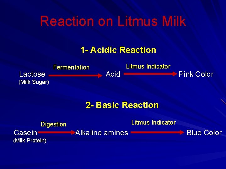 Reaction on Litmus Milk 1 - Acidic Reaction Lactose Fermentation Acid Litmus Indicator Pink