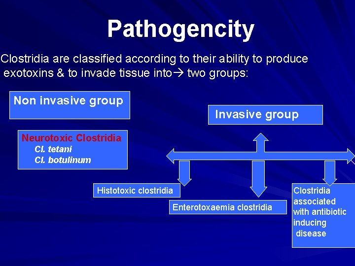 Pathogencity Clostridia are classified according to their ability to produce exotoxins & to invade