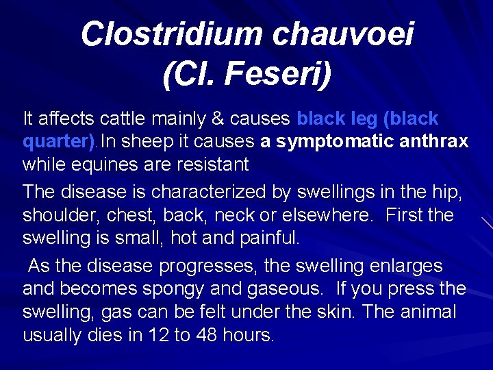 Clostridium chauvoei (Cl. Feseri) It affects cattle mainly & causes black leg (black quarter).