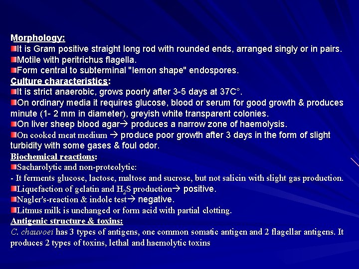 Morphology: It is Gram positive straight long rod with rounded ends, arranged singly or