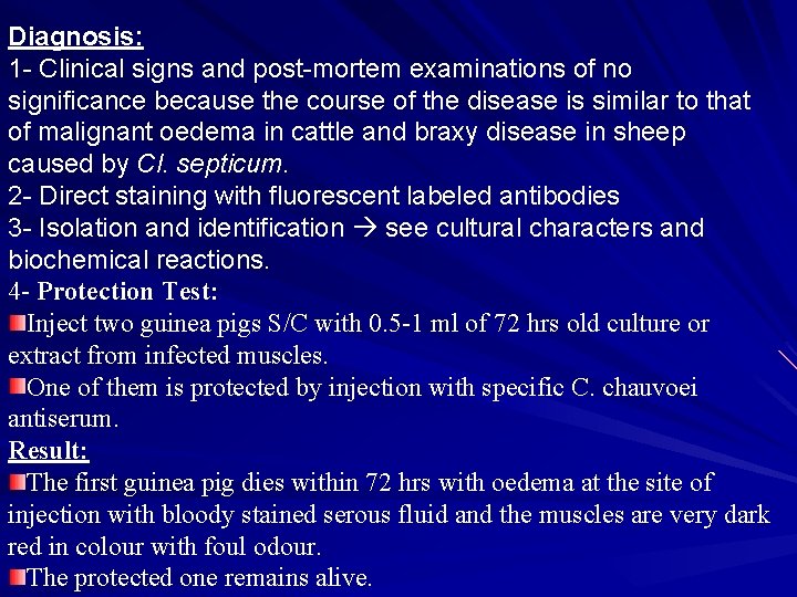 Diagnosis: 1 - Clinical signs and post-mortem examinations of no significance because the course