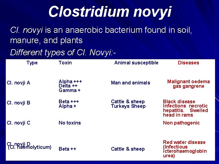 Clostridium novyi Cl. novyi is an anaerobic bacterium found in soil, manure, and plants
