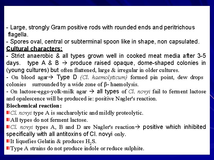 - Large, strongly Gram positive rods with rounded ends and peritrichous flagella. - Spores