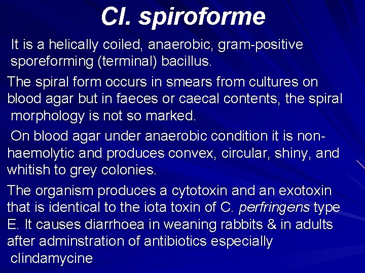 Cl. spiroforme It is a helically coiled, anaerobic, gram-positive sporeforming (terminal) bacillus. The spiral