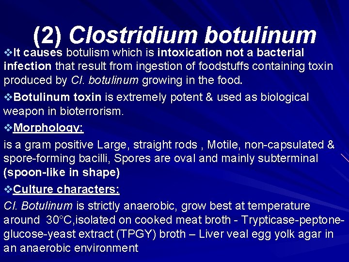 (2) Clostridium botulinum v. It causes botulism which is intoxication not a bacterial infection