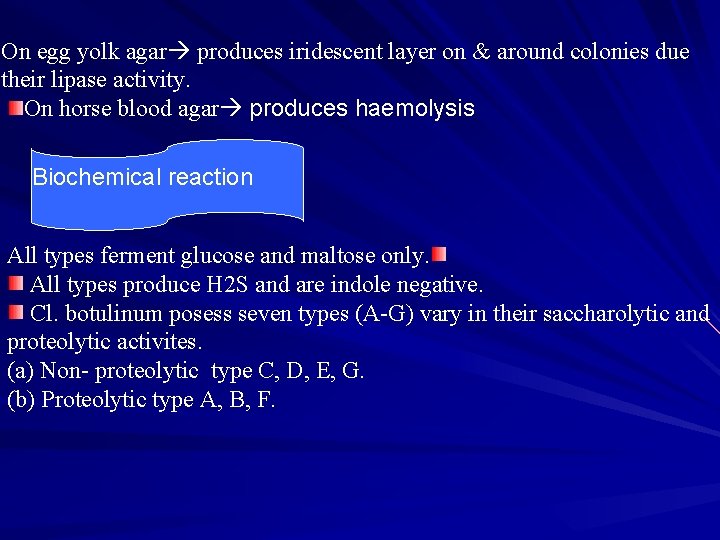 On egg yolk agar produces iridescent layer on & around colonies due their lipase