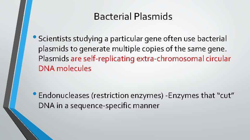 Bacterial Plasmids • Scientists studying a particular gene often use bacterial plasmids to generate