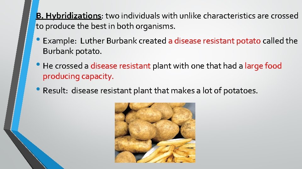 B. Hybridizations: two individuals with unlike characteristics are crossed to produce the best in